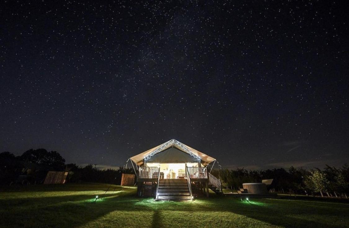 Midleydown Luxury Glamping Hotel Exeter Exterior photo